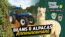 Farming Simulator 25 - Beans & Alpacas Edition (XBOX SERIES)