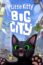Little Kitty, Big City - PS5 - Version Fran&ccedil;aise