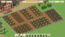Farm to Fortune