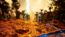 The Axis Unseen EU PS5 CD Key