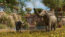 Planet Zoo 2 - PC (Steam) - Europe & USA & Canada