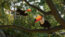 Planet Zoo 2 — PS5