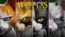 Warrior Cats: Clans of the Forest — PS5
