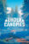 Under Canopies – PC
